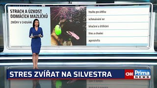 Silvestrovské oslavy stresují zvířata. Jak při ohňostroji zajistit bezpečí domácích mazlíčků?