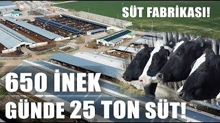 650 İnekten Günde 25 Ton Süt! Son Teknoloji Fabrika Gibi Süt Çiftliği / Marka Çiftlikler