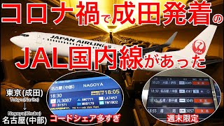 【週１便のみ】国際線乗り継ぎが見込めないこの便はなぜあるの？日本航空 東京(成田)→名古屋(中部)