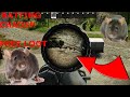 The best RAT SPOTS in TARKOV