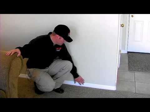 Termite Control : Signs That a Home Has Termites Termite Control : Signs That a Home Has Termites
