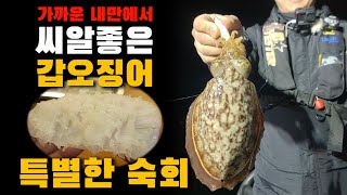 가까운 곳에 이렇게 큰 갑오징어가??  I  특별한 갑오징어 숙회 방법