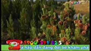 CCC9_20100801_171000__172000.avi