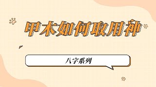 八字命理/ 甲木如何取用神？ 大白话解析火枳乘龙，水宕骑虎，水多木漂，火多木焚的甲木人