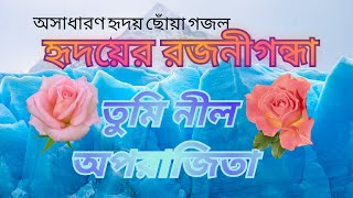 অসাধারণ ইসলামি গজল/নাশিদ, হৃদয়ের রজনীগন্ধা,তুমি নীল অপরাজিতা #গজল #ghazal #gojol #islamic #nasheed