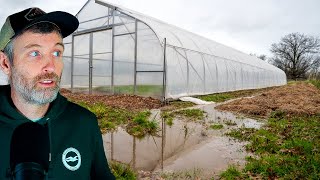 Starting Tomatoes from Seed + My State is Flooded (again)