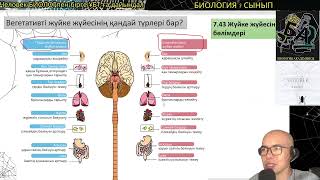 7.43.#Вегетативті #Сомалық #Симпатикалық #Парасимпатикалық #биология #7сыныпбиология #ұбтбиология