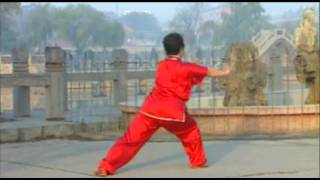 Wushu Chang Quan Er Lu 初级长拳二路