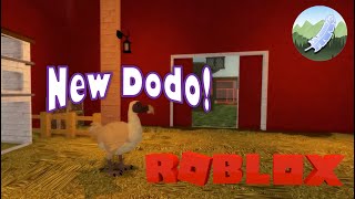 roblox feather family owl