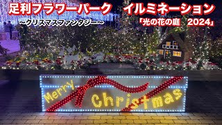 足利フラワーパーク　イルミネーション「光の花の庭」〜クリスマスファンタジー〜　行ってみたら、過去最高の感動でした！