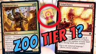 Going 18-2 with ZOO!!! Is ZOO Silently TIER1? | Modern | MTGO