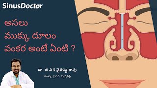 అసలు ముక్కు దూలం వంకర అంటే ఏంటి ? | Deviated Nasal Septum | తెలుగులో