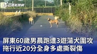 屏東60歲男晨跑遭3遊蕩犬圍攻 拖行近20分全身多處撕裂傷｜20250106 公視晚間新聞