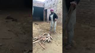 ਹੁਣ ਤਾ ਗੁਵਾਢੀਂਆ ਨੂੰ ਵੀ ਗਰਮੀ ਲਿਆ ਦਿਆਗੇ😂😂 #comedy #punjabifarmers #subscribetomychannel #funny