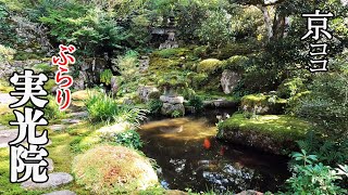 【京都おすすめ】感動！　ぶらり実光院【京のココ見といやす】【京都観光旅行】