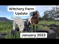 Witchery Farm Update Jan 2022