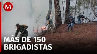 Continúan activos 4 incendios forestales en Valle de Bravo; despliegan brigadistas para combatirlos