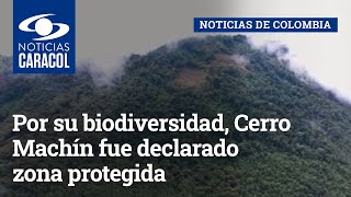 Por su biodiversidad, Cerro Machín fue declarado zona protegida