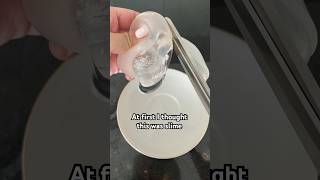 Cutting open a maltose stress ball?! #satisfying #asmr #relax