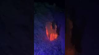 UV light cave diving in the Molnár János Cave in Budapest