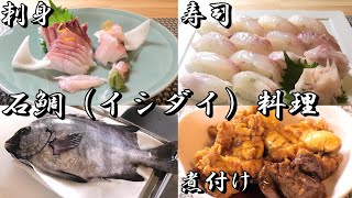 【石鯛】イシダイさばき方～石鯛を１匹さばいて美味しい料理にしていくよー!!刺身　寿司　煮付け