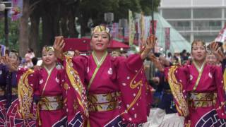 舞華・パレード③＠2016　たまよさこい