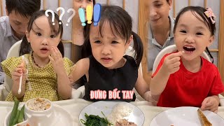 Ori Ăn Gì Full P2 I Tổng Hợp Hơn 10 Video Ori Ăn Cơm Siêu Cuốn