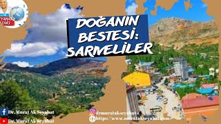 Doğanın Bestesi: Sarıveliler #Sarıveliler #Karaman Sariveliler