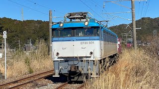 [JR貨物]2023年1月25日(水)昼の延岡貨物4075レ　EF81-501 優しい運転士さん　汽笛　北延岡駅にちょっと遅れて到着🤏1分くらい止まり発車