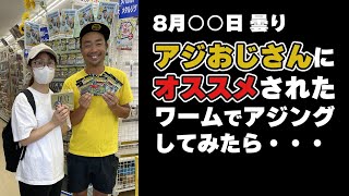 アジングど素人の２人がプロにおすすめされたワームで釣りしてみたら【宮城】【牡鹿】【アジ】