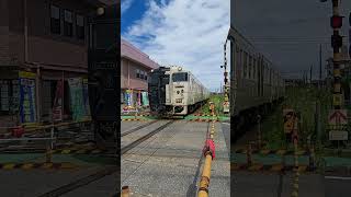 【指宿のたまて箱】宇宿小学校踏切を通過します。　#shorts #JR #train