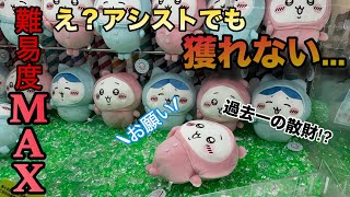 【ちいかわ】大散財⁉︎ちいかわ大好き彼女が獲れるまで挑戦したら...ヤバすぎたwww