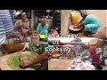 Buying in a LOCAL GHANA MARKET & cooking BEANS LEAVES SOUP || TAMALE cost of living