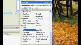 Visual Basic Lesson 1: Browser UI