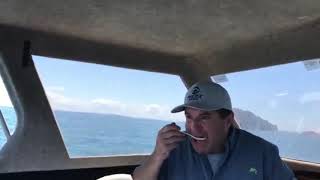 Fishing Kawau Island and Noises on softbaits