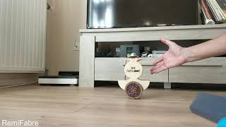 Inverted pendulum robot