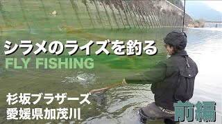 The season has begun! Fly fishing with the Sugisaka brothers! Kamogawa, Ehime Prefecture, Februar...