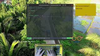 Learning Rust Programming - Functions - Challenge 3 | ASMR Coding