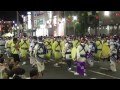 【南越谷阿波踊り2015】徳島市阿波おどり振興協会合同連、南越谷中央通り