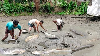 বর্ষাকালে পুকুর সেচ দিয়ে মাছ ধরা| পুকুরে বড় বড় মাছ দেখে সবাই অভাগ| big Fishing in rainy season