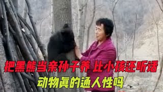 把黑熊当亲孙子养，长大后比小孩还听话，动物真的通人性吗？