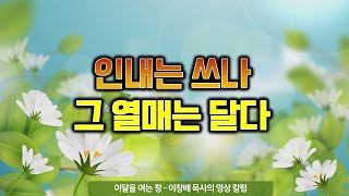 이달을 여는 창(Jul 2020):인내는 쓰나 그 열매는 달다