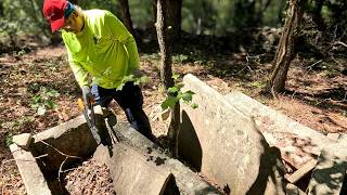 Forgotten & Destroyed: Gary Plantation Cemetery in Georgia Woods