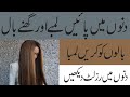 چند دنوں میں لمبے اور گھنے بال / آزمودہ  نسخہ| Hakeem Tariq Dubai