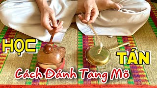 TÁN RƠI ĐẠI TỪ ĐẠI BI || NGHI HUẾ