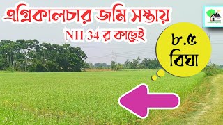 Fp - 851 | নদীয়া জেলায় দারুন লোকেশনে এগ্রিকালচার জমি কিনুন | Fresh Property | Call - 9073 145 145