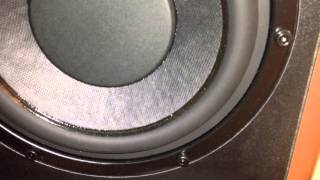 Swan m50w subwoofer rattle