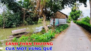 Khám Phá Cảnh Đường Quê Dọc Theo Mé Kênh Thấy Cảnh Đẹp Thân Thương Của Bà Con Sa Đéc