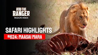 Safari Highlights #624: 31st August 2021 | Maasai Mara/Zebra Plains | Latest #Wildlife Sightings
