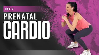 Prenatal Cardio Workout | Day 7 - 30 Minute Pregnancy Cardio Workout (Pregnancy Workout Challenge)